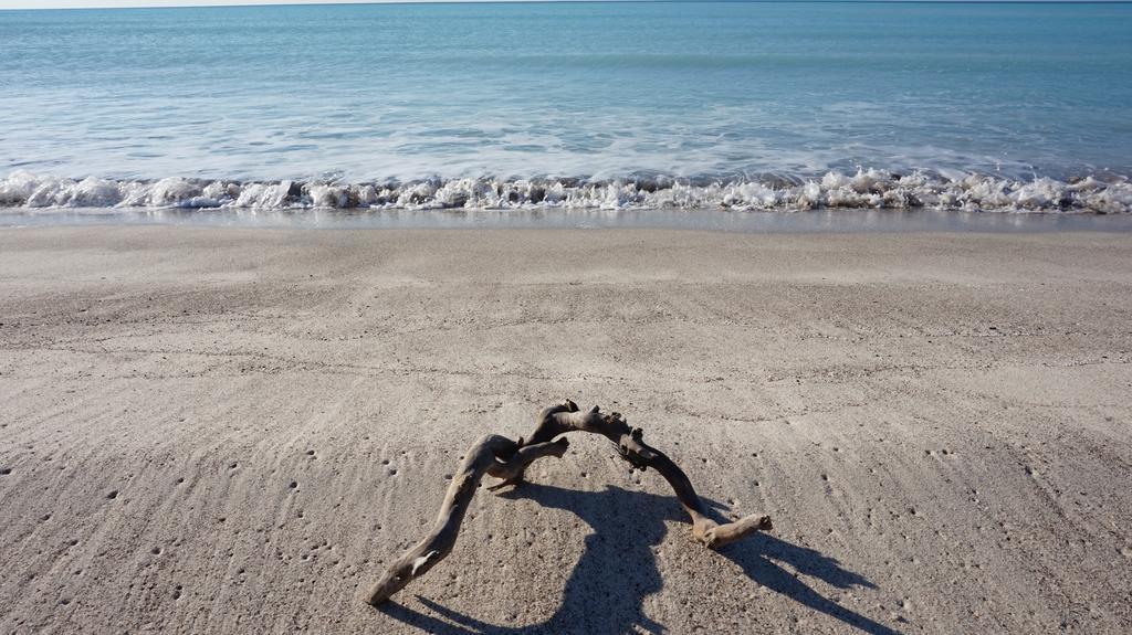 A 20 Mt Dal Mare Con Ombrellone E Sdraio In *