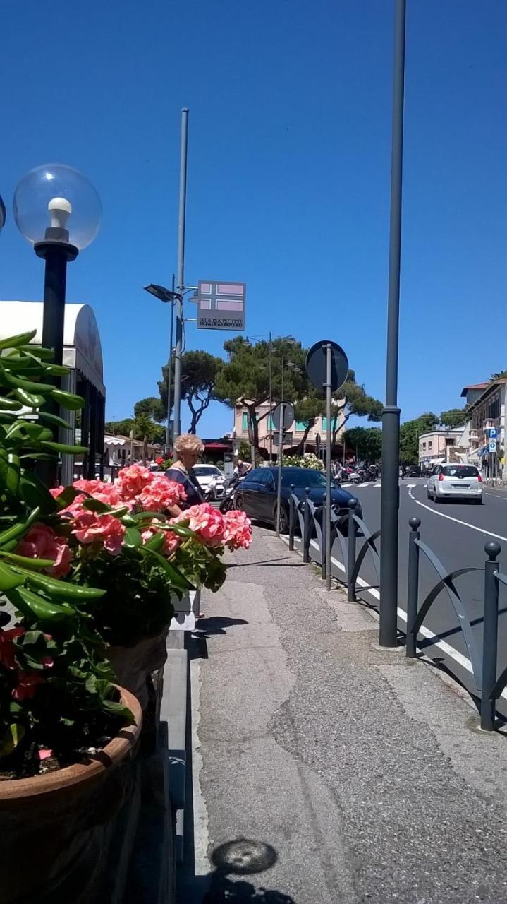 Apartment A 20 Mt Dal Mare Con Ombrellone E Sdraio In Spiaggia